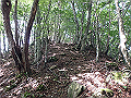 isidou032_thumb.png