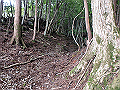 isidou034_thumb.png