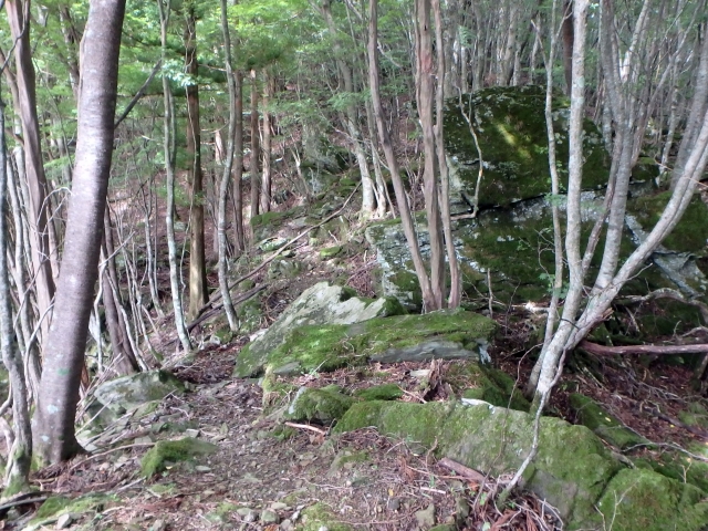isidou035.jpg