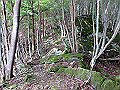 isidou035_thumb.png