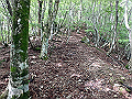 isidou037_thumb.png