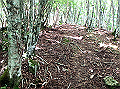 isidou038_thumb.png