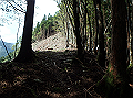 isidou041_thumb.png