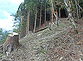 isidou044_thumb.png
