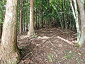 isidou046_thumb.png