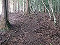 isidou048_thumb.png