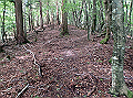 isidou051_thumb.png