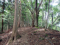 isidou053_thumb.png
