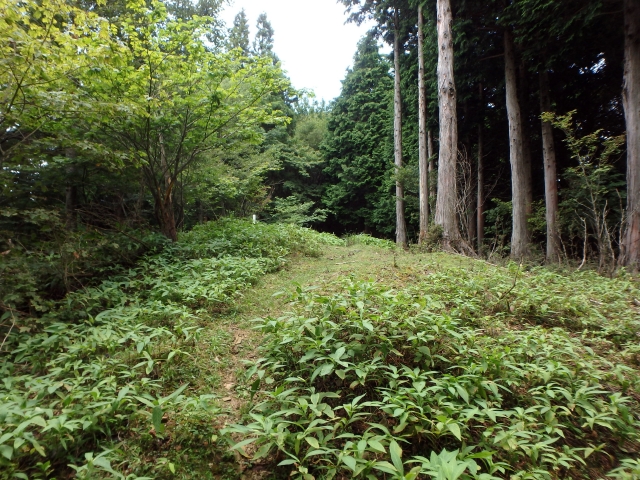 isidou055.jpg