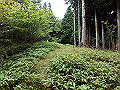 isidou055_thumb.png