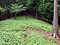 isidou056_thumb.png