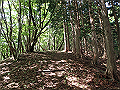isidou058_thumb.png