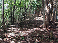 isidou059_thumb.png
