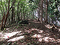isidou061_thumb.png