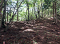 isidou063_thumb.png