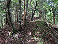 isidou064_thumb.png