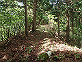 isidou065_thumb.png