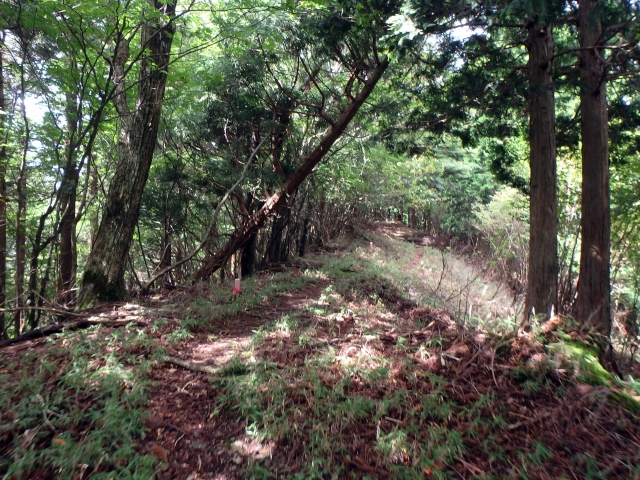 isidou067.jpg
