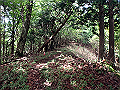 isidou067_thumb.png
