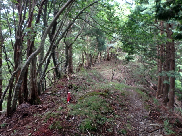 isidou068.jpg