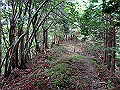 isidou068_thumb.png