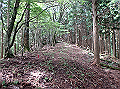 isidou070_thumb.png
