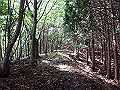 isidou071_thumb.png