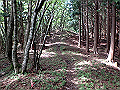 isidou072_thumb.png