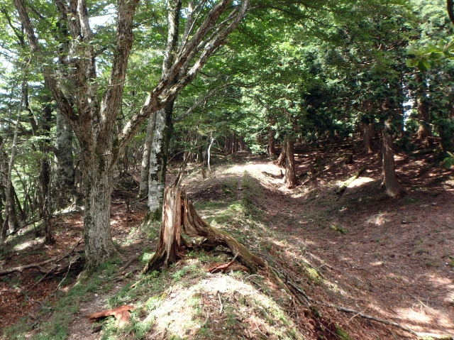isidou075.jpg