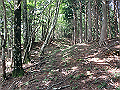isidou076_thumb.png