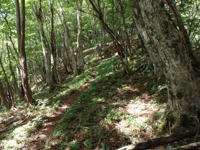 isidou078.jpg