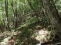isidou078_thumb.png