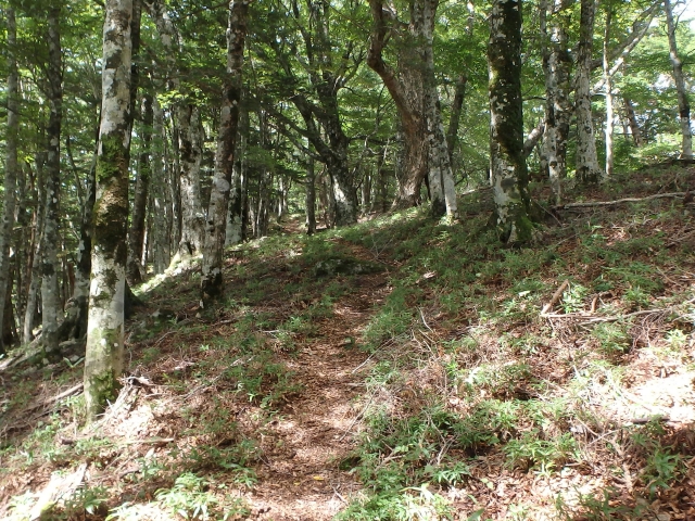 isidou079.jpg