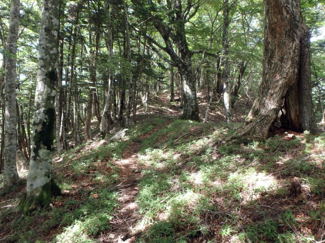 isidou080.jpg