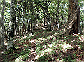 isidou080_thumb.png