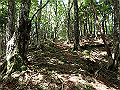 isidou081_thumb.png