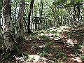 isidou082_thumb.png