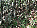 isidou083_thumb.png