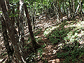 isidou084_thumb.png