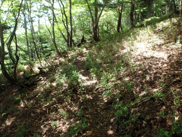 isidou085.jpg
