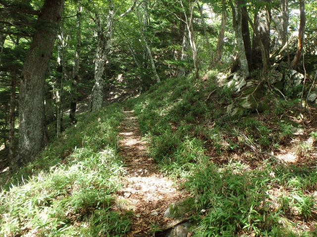 isidou086.jpg