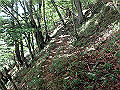 isidou088_thumb.png