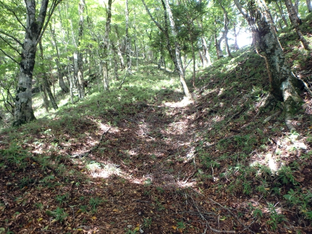 isidou089.jpg