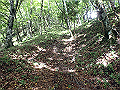 isidou089_thumb.png