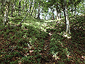 isidou090_thumb.png