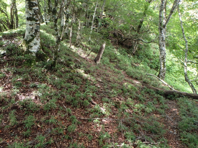 isidou091.jpg