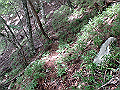 isidou093_thumb.png