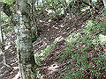isidou094_thumb.png