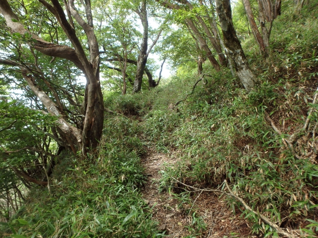 isidou096.jpg