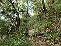 isidou096_thumb.png